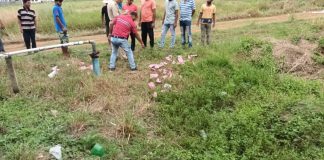 পান্ডুয়ায় গণনা কেন্দ্রের পিছন থেকে উদ্ধার ব্যালট পেপার